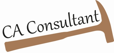 CA Consultant